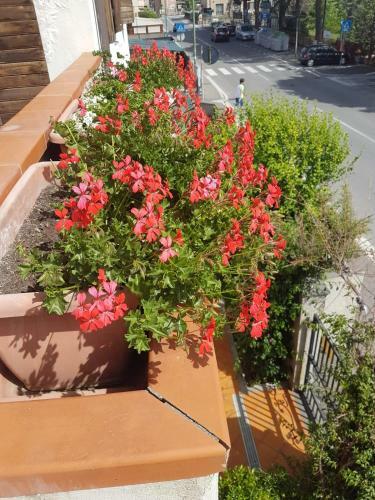 Hostal Villa Lory Albinia