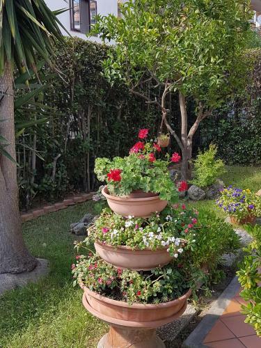 Hostal Villa Lory Albinia