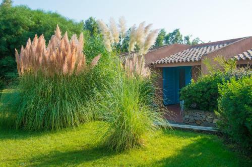 Hotel Agrustos Club