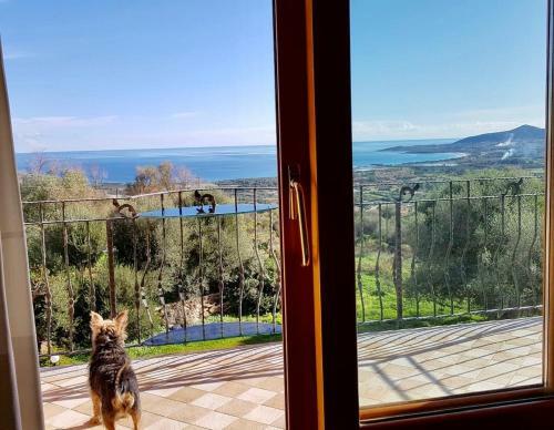 Apartamento Solaria - Villa Luddu�