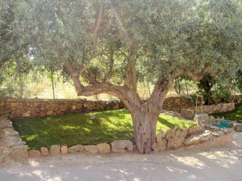 Apartamento Solaria - Villa Luddu�