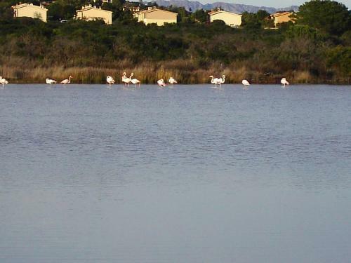 Apartamento Vista Baia Blu