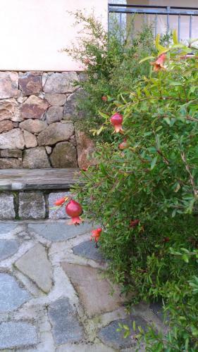 Villa Muriscuv�