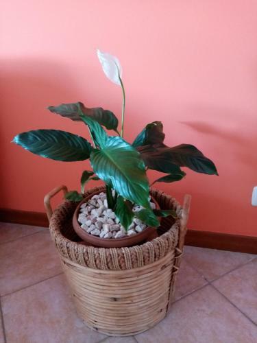 Apartamento Home Iseo Lake