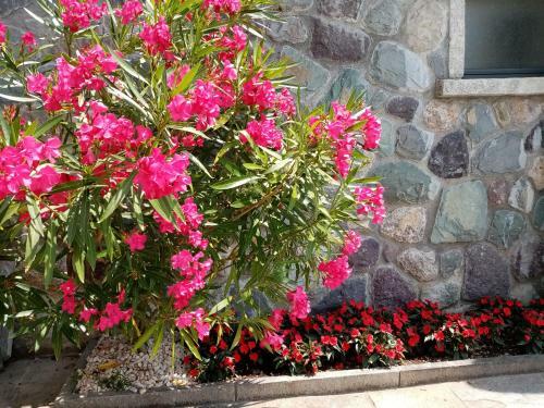Apartamento Home Iseo Lake