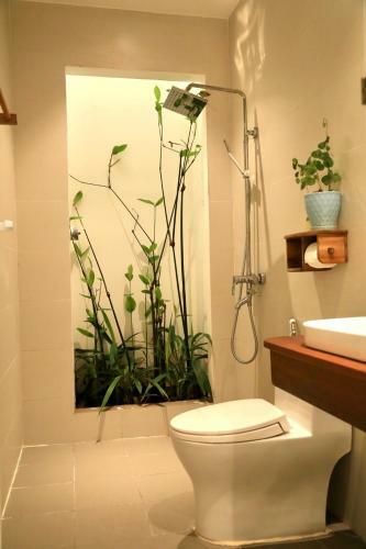 Bed & Breakfast Dream Light Ph� Y�n