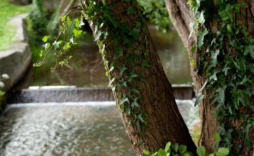 Hotel Balneario De Arteixo