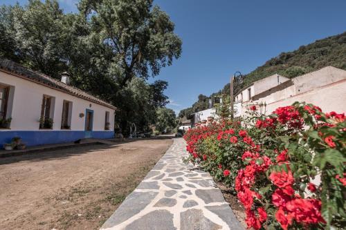 Apartamento El Molino Del Corcho