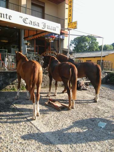 Hostal Casa Juan