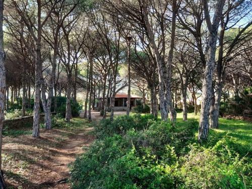 Villa Sulla Spiaggia