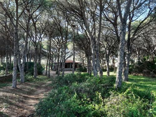 Villa Sulla Spiaggia