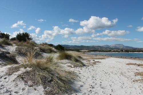 Appartamento Trilo Sulla Spiaggia Budoni Affitti