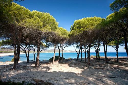 Appartamento Trilo Sulla Spiaggia Budoni Affitti