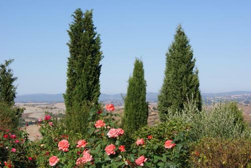 Apartamento Tuscany Balcony: Crete Senesi