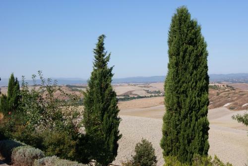 Apartamento Tuscany Balcony: Crete Senesi