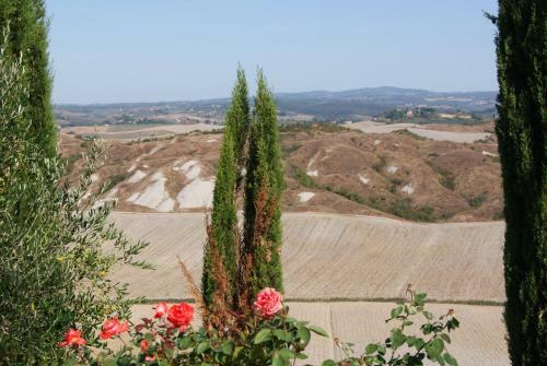 Apartamento Tuscany Balcony: Crete Senesi
