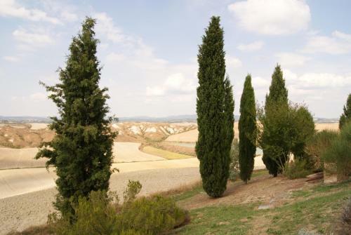 Apartamento Tuscany Balcony: Crete Senesi