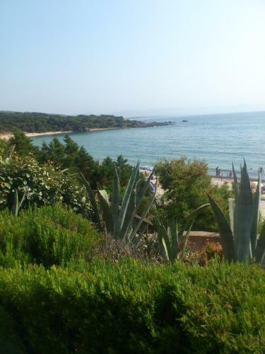 Apartamento Fronte Mare
