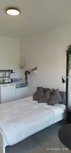 Lovely Studio Apartament Zichron Yaakov