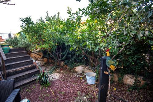 Galilee Cosy Apartment