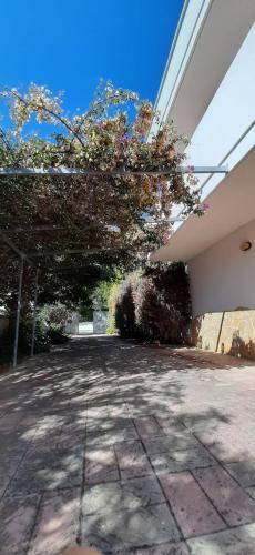 Villa Uccia