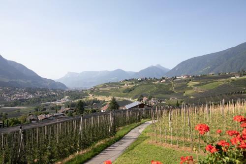 Bed & Breakfast N�ssinghof