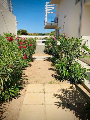 Apartamento Dream Isola Rossa