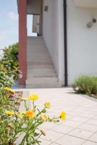 Bed & Breakfast Al Piovego