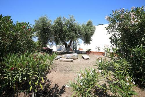 Villa Il Fortino Di Capo Vaticano