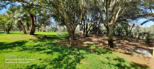 Apartamento Podere Serena Appartamento David