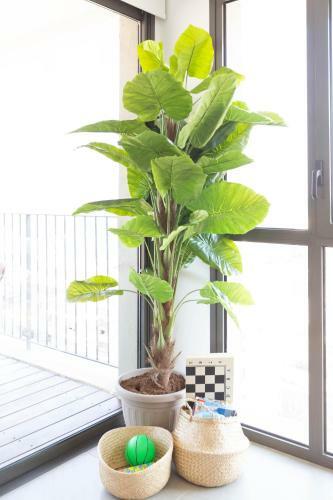 Apartamento Lakeview