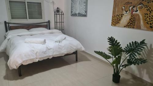 Apartamento ??? ????? ?????