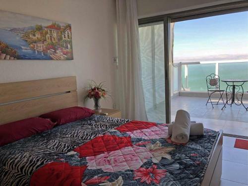 Spacious Apartment & Lovely View!
