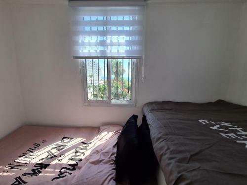 Apartamento Junior Suite
