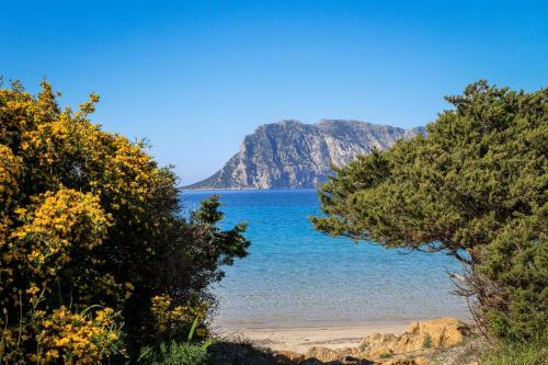 Apartamento Lux Villa Smeralda Pool And Beach