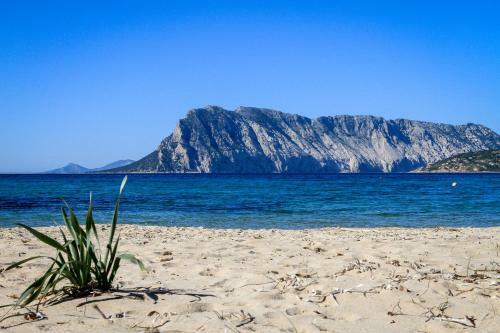 Apartamento Lux Villa Smeralda Pool And Beach