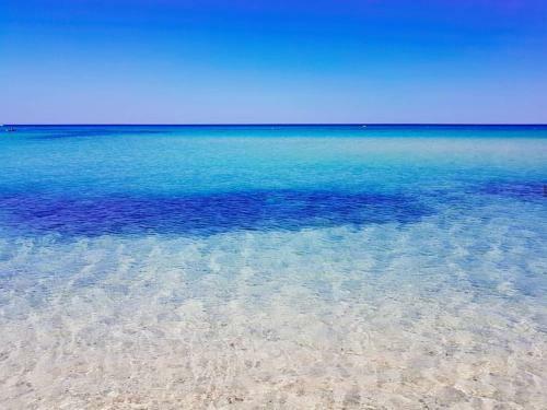 Free Beach Holiday Home