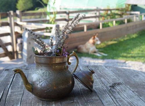 Bed & Breakfast Agriturismo Athabaska