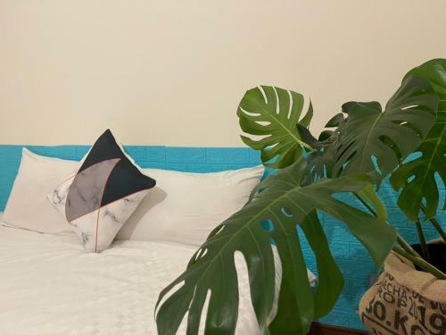 Apartamento Second Street Nest Hostal
