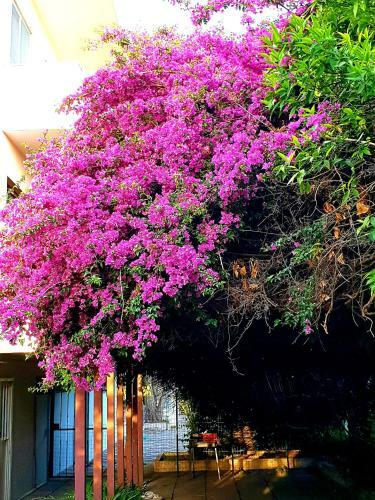 Quiet House Garden Naples-pompei-sorrento