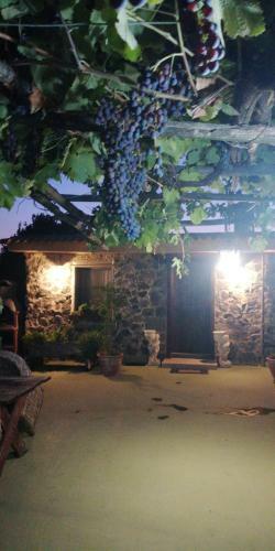Apartamento Pietramiliare