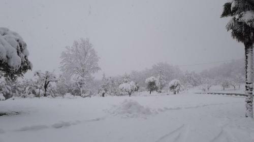 Masseria Boutique B&B