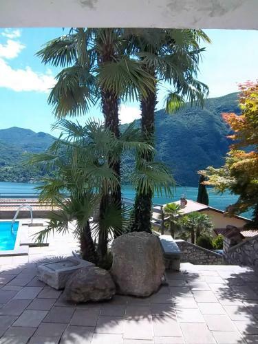 Fabulous View On The Lake