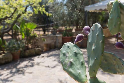 Villa Mil�