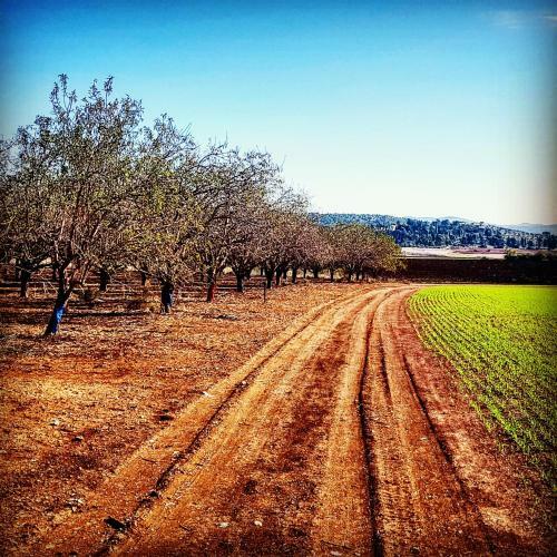 Bed & Breakfast Kibbutz Nachshon