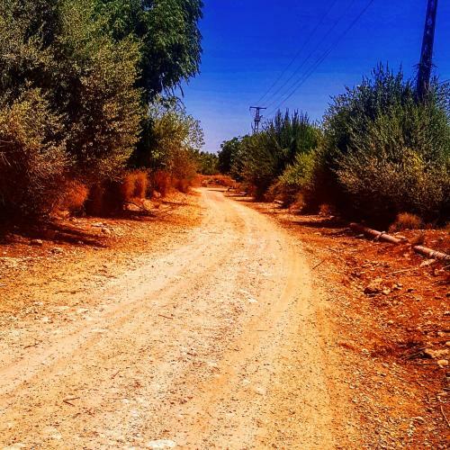 Bed & Breakfast Kibbutz Nachshon