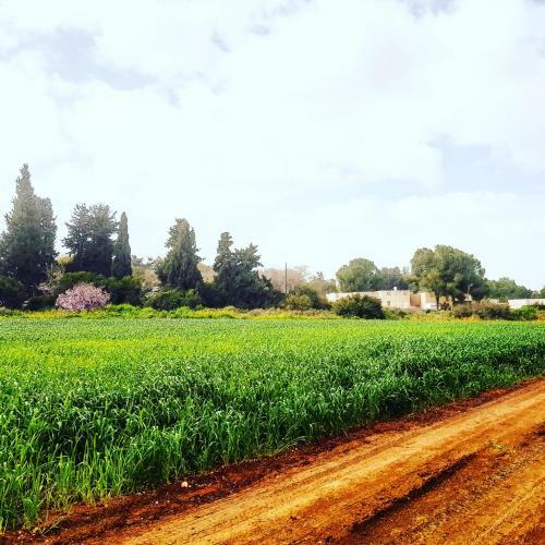 Bed & Breakfast Kibbutz Nachshon