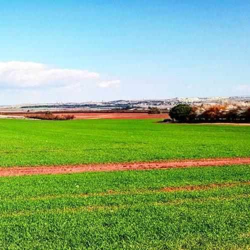 Bed & Breakfast Kibbutz Nachshon