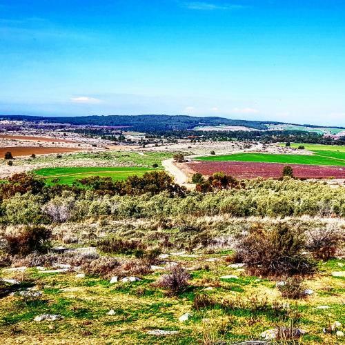 Bed & Breakfast Kibbutz Nachshon