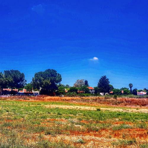 Bed & Breakfast Kibbutz Nachshon